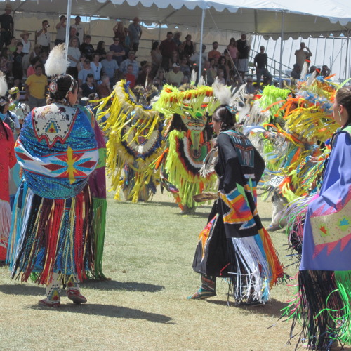 Cree Confederation #2  @ Wild Horse powwow 2015