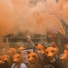 Burkamina @ Sarrando Contra A Lei