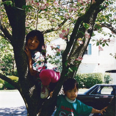 Lovers' Carvings by Bibio (Cover)