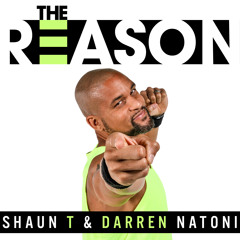 The Reason - Mixed by Darren Natoni