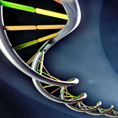 Synthetic DNA