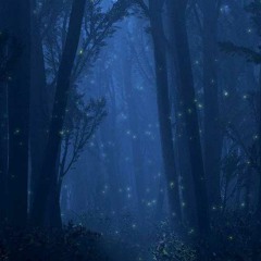 FIREFLIES ON THE WETLANDS