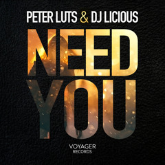 Peter Luts & DJ Licious - Need you (Preview)