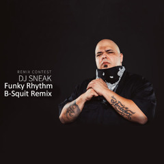 Dj Sneak - Funky Rhythm (B-Squit Remix)