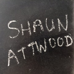 GBA 218 Shaun Attwood