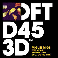 Miguel Migs - What Do You Want feat. Meshell Ndegeocello (Rodriguez Jr. Remix)