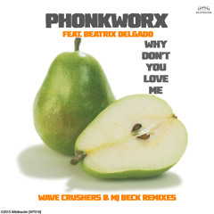 PhonkworX feat. Beatrix Delgado - Why Don't You Love Me (Mj Beck Deep Remix) 96 kBit/s
