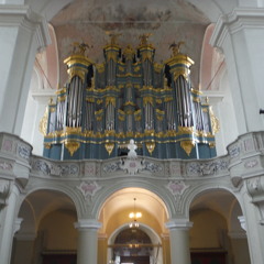Klaus Lang Playing Organs in Vilnius, 2015