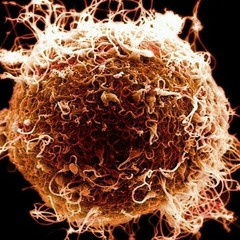 Freestyle In The House Tonight