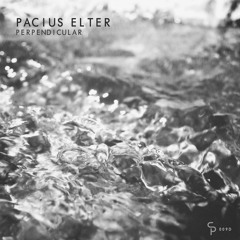 Pacius Elter - Perpendicular [EP Preview (Counter Pulse)]