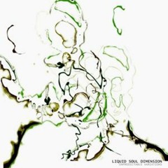 Liquid Soul Dimension - Time