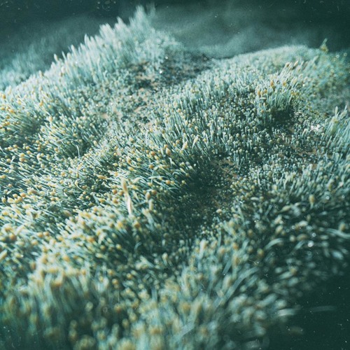 dub techno