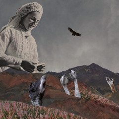 Los Andes
