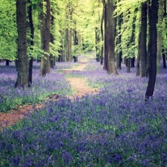 le printemps (春) 2015