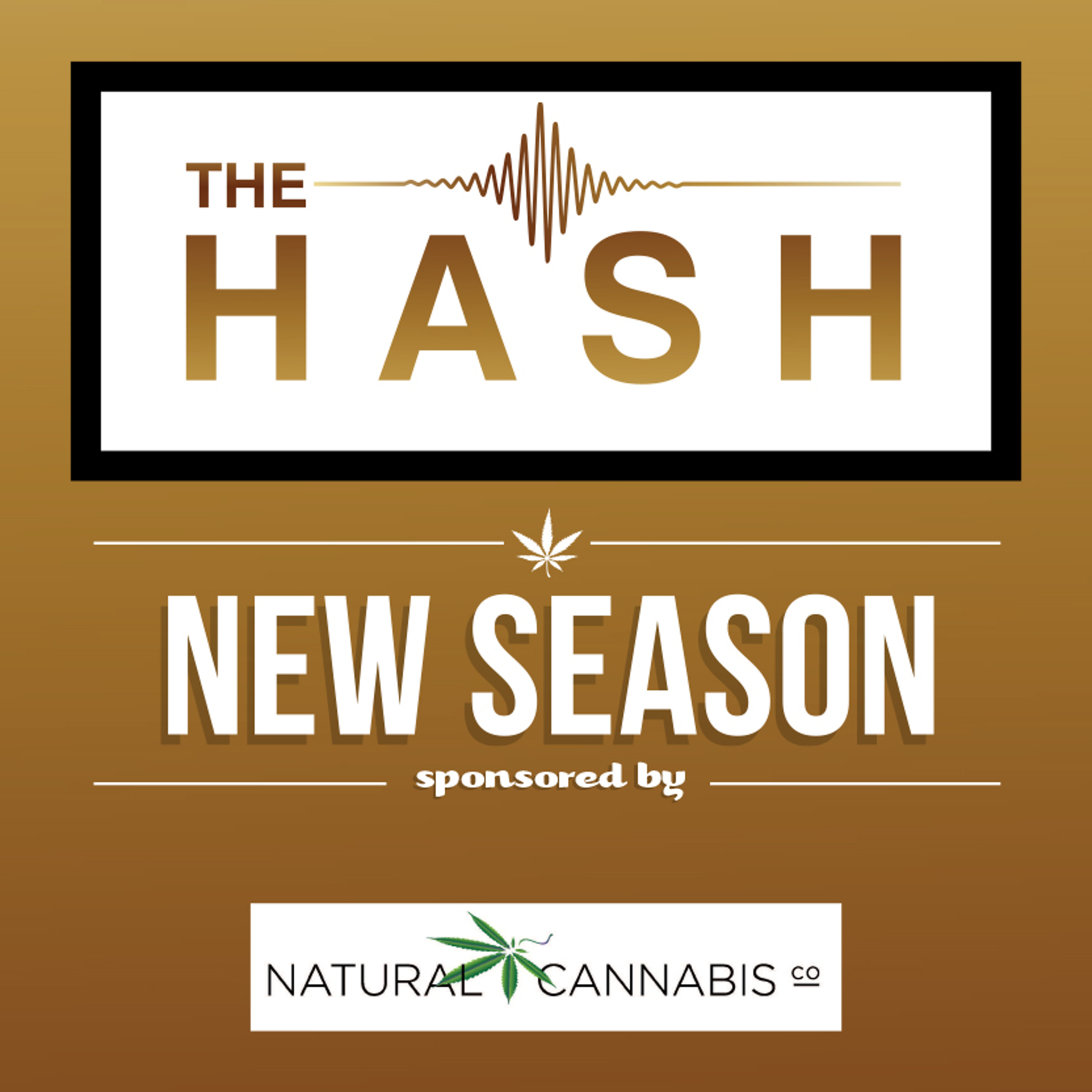 The Hash