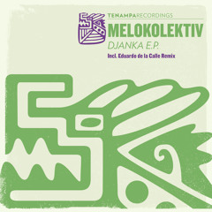 Melokolektiv - Dive Into My Glass [Tenampa Recordings]