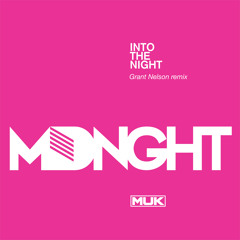 Into the Night (Grant Nelson Rugged Mix)