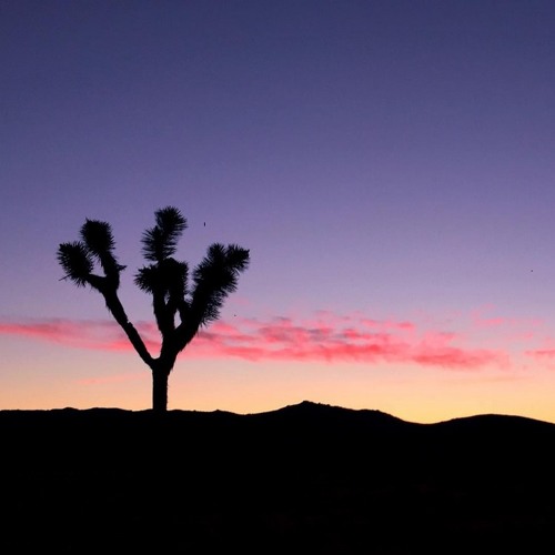 Chaaabert! Playlist "Canicule" n°49