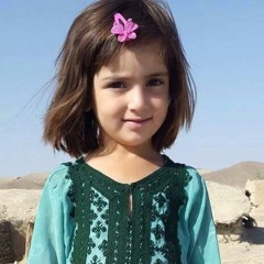 Tumko Hum Dil Mein -Chitra Singh