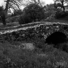 Only God Forgives # MMXV