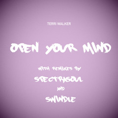 Terri Walker - "OPEN YOUR MIND" SWINDLE REMIX