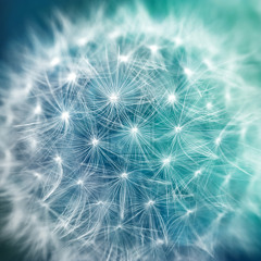 Igy Is Kelhetsz Reggelente