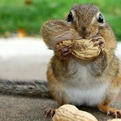 TI & JAM THIEVES - MUMBLE GUTS