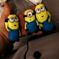 Zir Rool  MinimalFlex   Minions (ORNL MX)