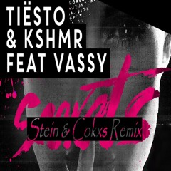 Tiesto&KSHMR Ft Vassy- Secret - (Stein & Cokxs Rmix)
