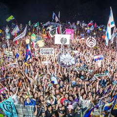 Electric Forest 2015 Mix