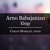 Artwork for Arno Babajanian: Elegy
