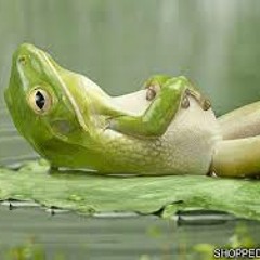 Relaxed