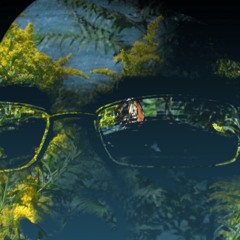 Neelum Films - West Indian Stomp