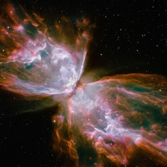 Los animales que olvidó Noé - Ditirambo (maqueta)