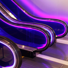 Persian Rugs - Jacquees