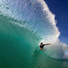 REVENGE OF THE SAD ELEPHANT