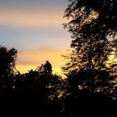 Something in the air(Acoustic) - Thunderclap Newman