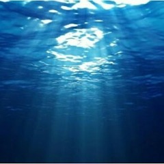 No.1- Gün size günaydı