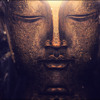 GAIA CHAKRA ACTIVATION - 423 Hz MUSICAL SCALE