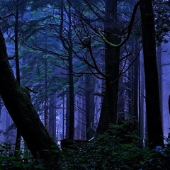 deadvision x Oscdabeast x Elijah Dream$ - WINDBREAKER 1965 (Prod. Holy Rain)