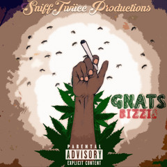 BizziE- Gnats (Prod. By Bruh N' Laws)