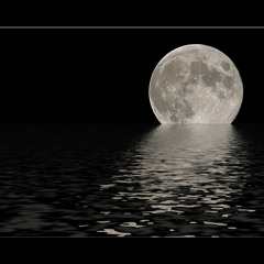 Improvcisations by Others