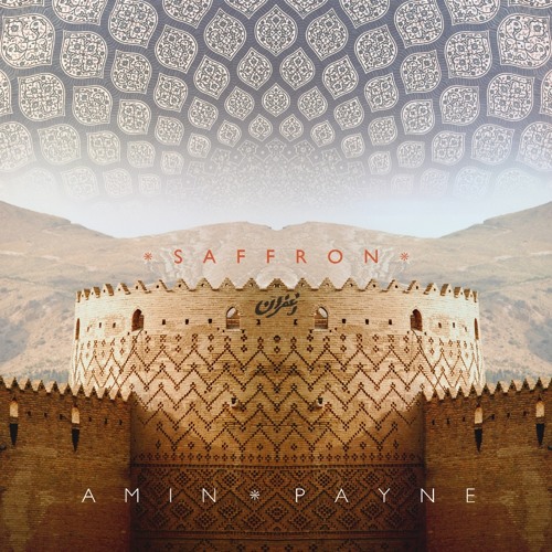 Amin Payne - The Funk Bazaar