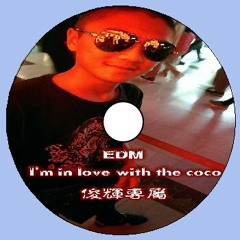 Ap娛樂 - EDM I'm In Love With The Coco(俊輝專屬)客製64k