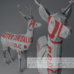 NUMBOLIC PODCAST #23 KASTER CORDALIS