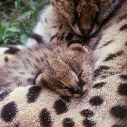 ARCHIPEL INVISIBLE BY KATS BARTOK AND NIKO