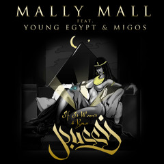 Mally Mall - If It Wasn't for Your P*ssy (feat. Young Egypt & Migos)