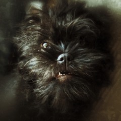 Back In Black (Cover version)