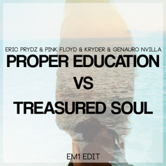 Eric Prydz & PF & Kryder & Genairo Nvila - Proper Education Vs Treasured Soul (LUDWIG EMRETZON Edit)
