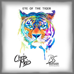 Chris Meid & Berger&Shaqiri - Eye Of The Tiger feat Drew Tabor